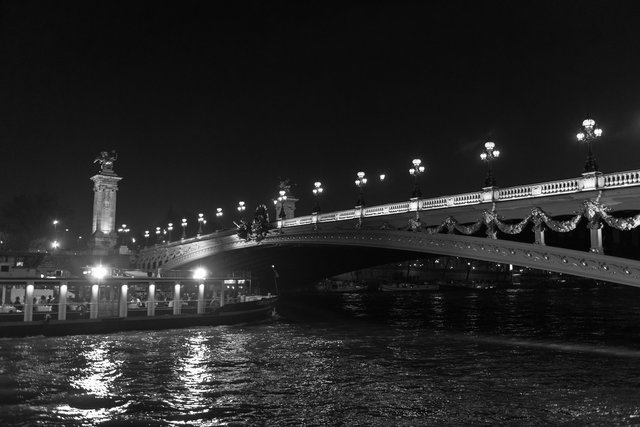 Pont Alexandre III night-003.jpg