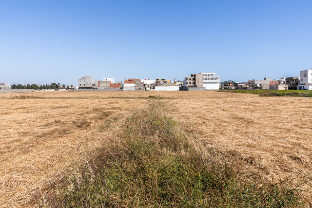 Architecture-51.jpg