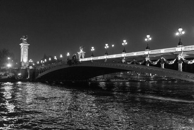 Pont Alexandre III night-001.jpg