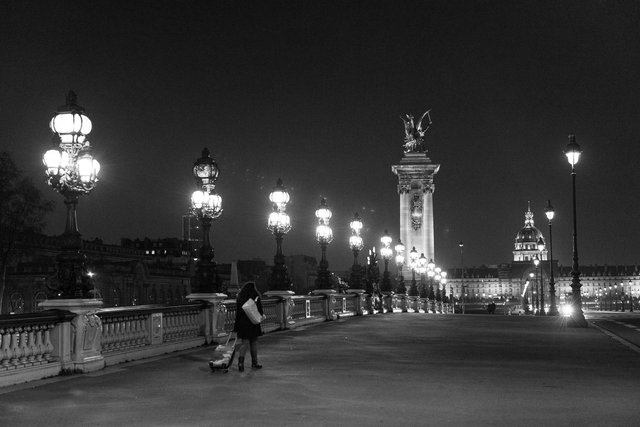 Pont Alexandre III night-011.jpg