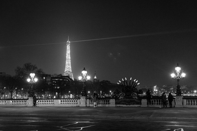 Pont Alexandre III night-014.jpg