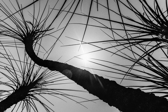 05-06-0050_Gabes Oasis-50.jpg