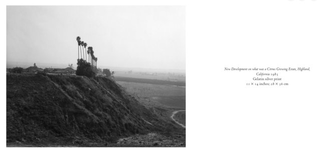 Screenshot 2026-03-04 at 16.50.57.jpg