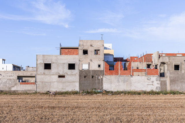 Architecture-06.jpg