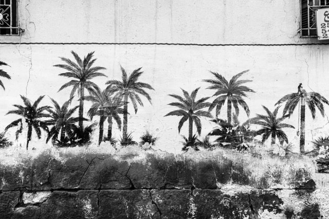 03-04-0026_Gabes Oasis-26.jpg