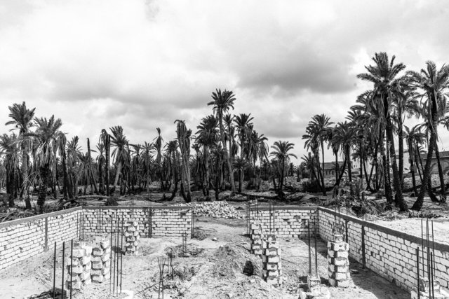 Gabes Oasis-45.jpg