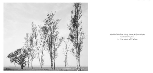 Screenshot 2026-03-04 at 16.48.20.jpg