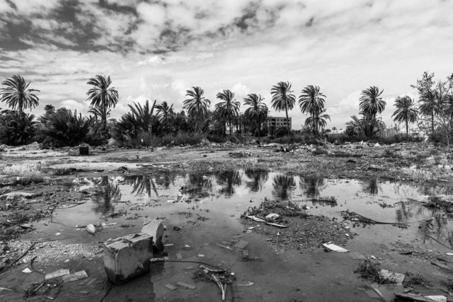 15-16-0024_Gabes Oasis-24.jpg