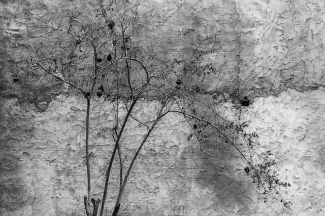 36-0012_Gabes Oasis-12.jpg