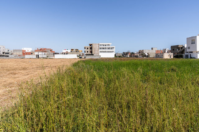Architecture-09.jpg