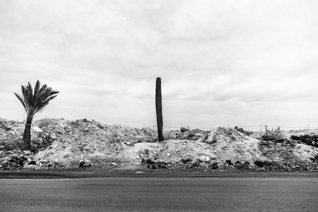 09-08-0030_Gabes Oasis-30.jpg