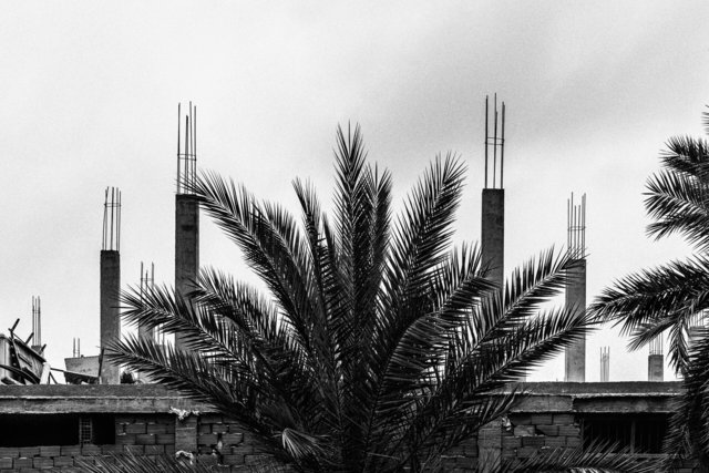 13-11-0019_Gabes Oasis-19.jpg