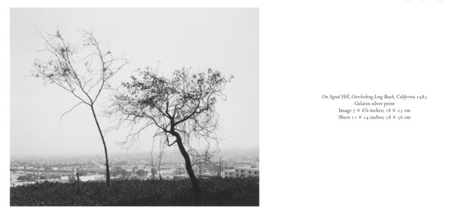 Screenshot 2026-03-04 at 16.52.12.jpg