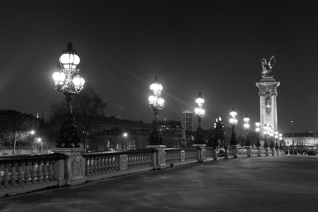 Pont Alexandre III night-013.jpg