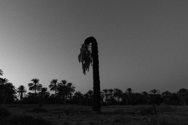 04-05-0055_Gabes Oasis-55.jpg