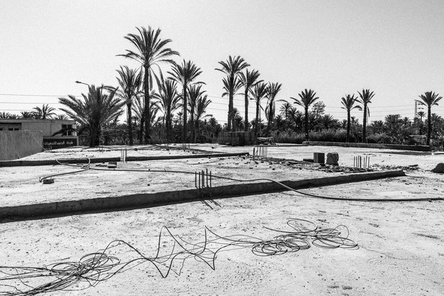 29-0002_Gabes Oasis-02.jpg