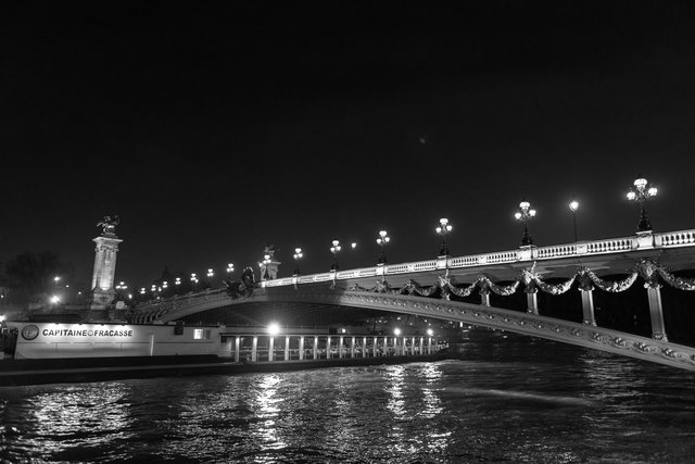 Pont Alexandre III night-005.jpg