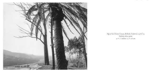 Screenshot 2026-03-04 at 16.49.16.jpg