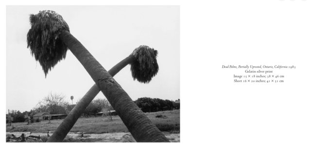 Screenshot 2026-03-04 at 16.48.04.jpg