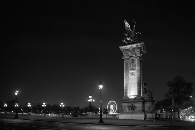 Pont Alexandre III night-021.jpg
