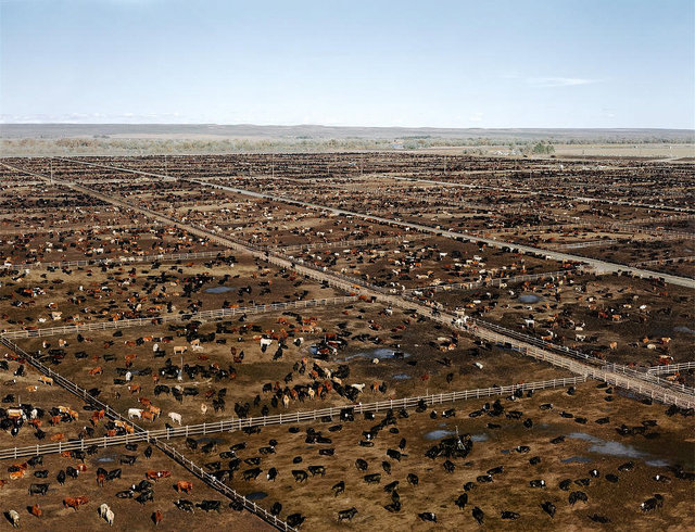 i_01-2018-gursky-greeley-2002-2000x.jpg