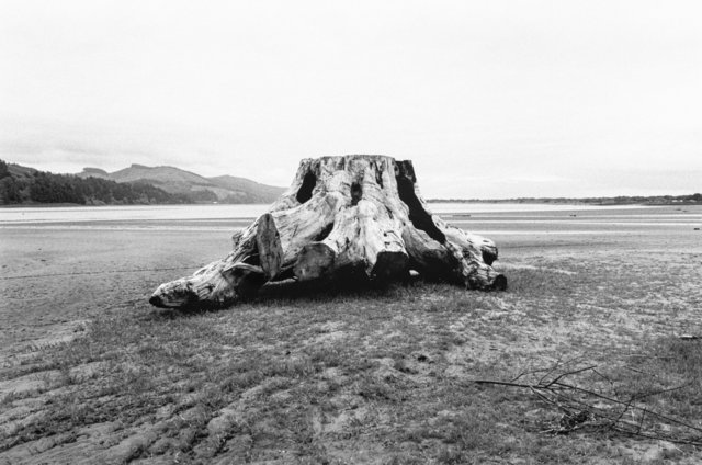 The River's Edge Robert Adams.jpg