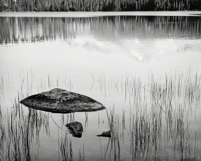 Rock and Grass, Moraine Lake, Sequoia National Park, 1932.jpg