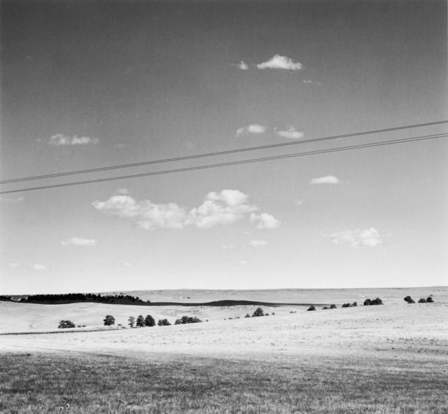 Grazing Land with Pines, Robert Adams copy.jpg