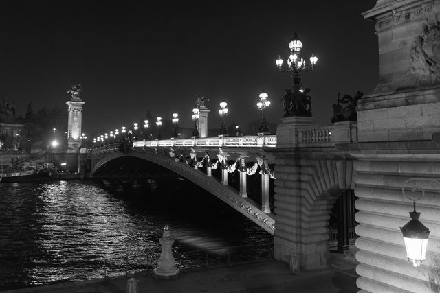 Pont Alexandre III night-002.jpg