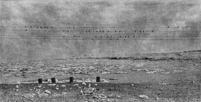 UNNAMED ROAD, 2011.jpg