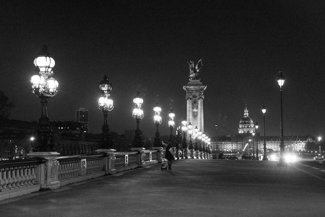 Pont Alexandre III night-012.jpg