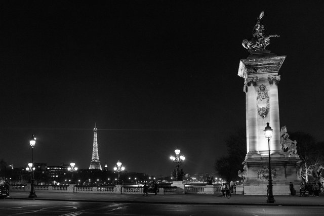 Pont Alexandre III night-009.jpg