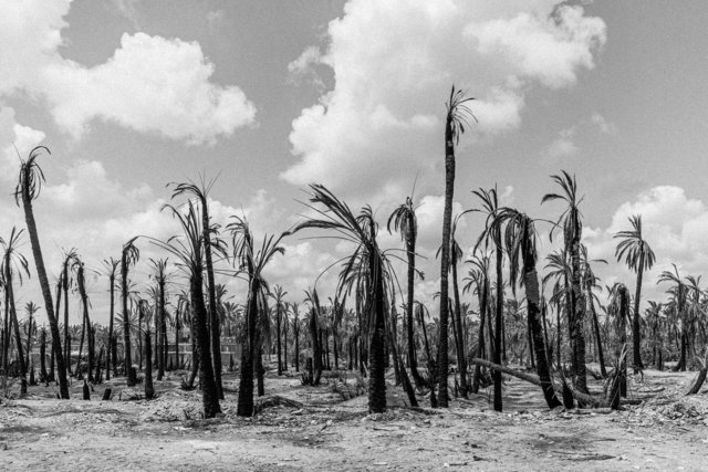 26-0047_Gabes Oasis-47.jpg