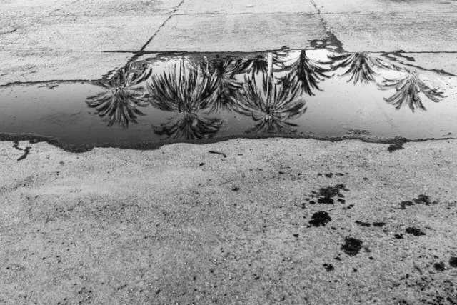 01-0001_Gabes Oasis-01.jpg