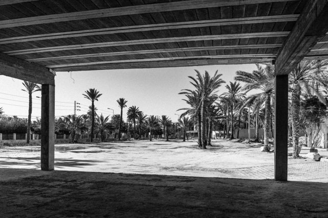 44-0031_Gabes Oasis-31.jpg