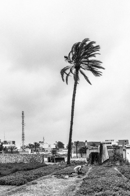 12-12-0010_Gabes Oasis-10.jpg