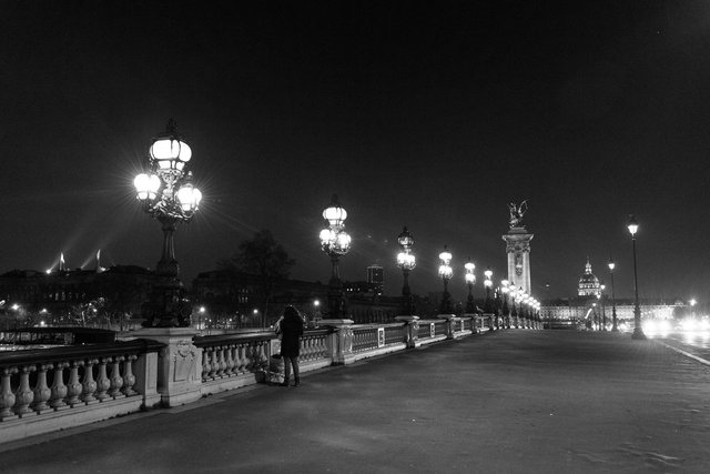 Pont Alexandre III night-010.jpg