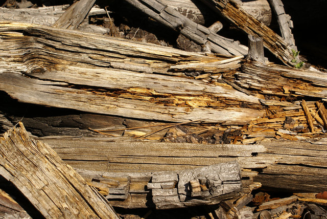 Yosemite-Wood.jpg