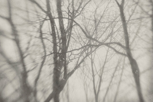 Snow 1