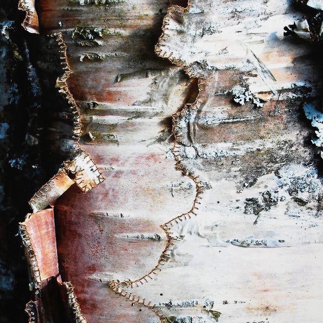 the restoration detail.jpg