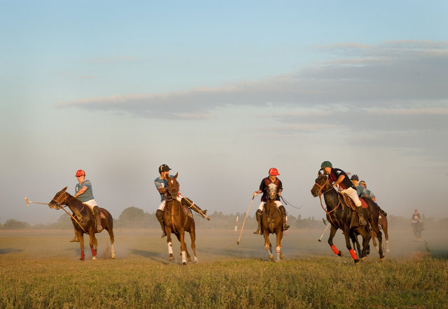 Polo in Argentina I