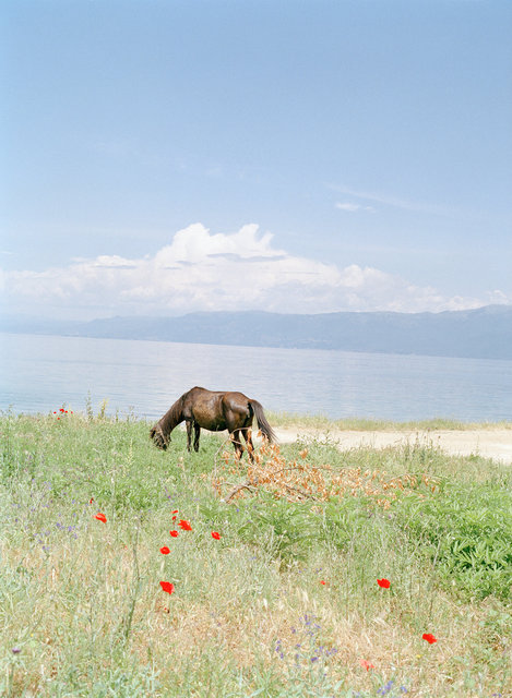 Untitled (from Mountain Black Heart), 2016