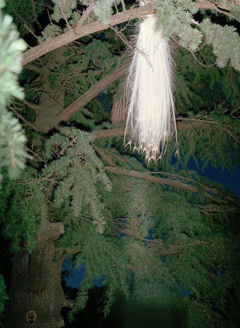Untitled (from Mountain Black Heart), 2016