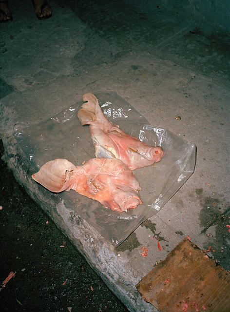 0004_Rozovsky_Island In My Mind_04.jpg