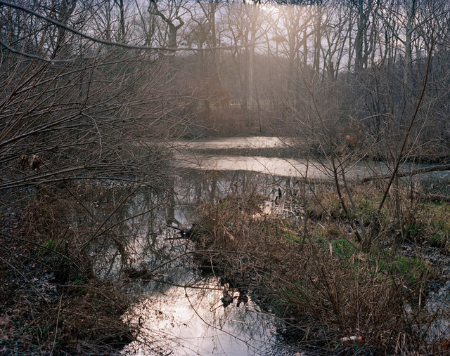 0011_Rozovsky_In Plain Air_13.jpg