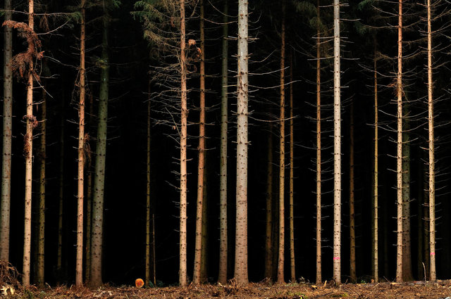 Ardennes 1