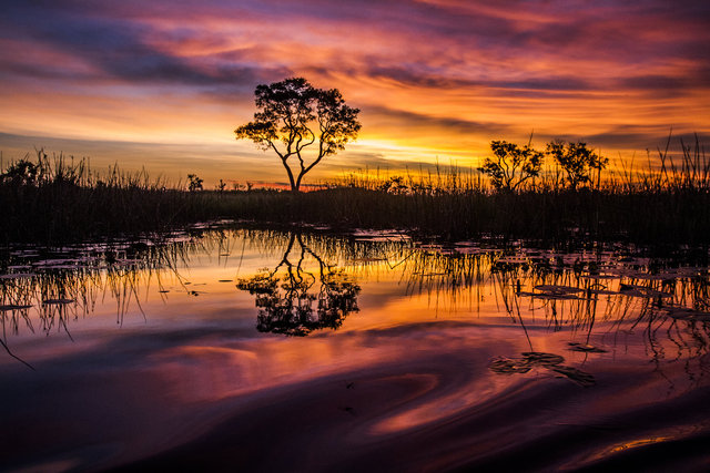 Okavango Delta, Botswana. 2013.