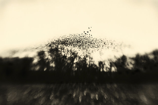 Deconstruction