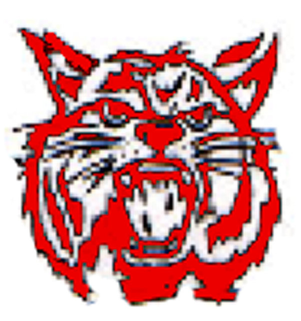 RedCatLogo.jpg