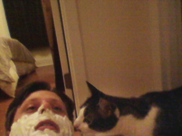 dave cats.jpg